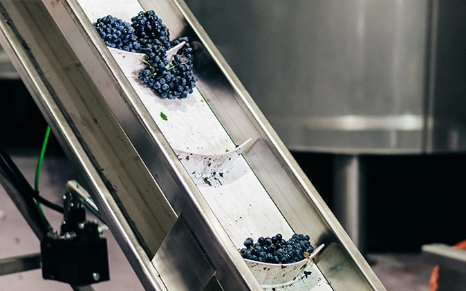 Food & Processing Manufacturing